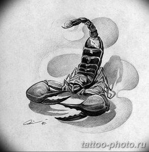 Фото рисунка скорпион 24.11.2018 №276 - photo tattoo scorpion - tattoo-photo.ru