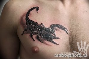 Фото рисунка скорпион 24.11.2018 №278 - photo tattoo scorpion - tattoo-photo.ru