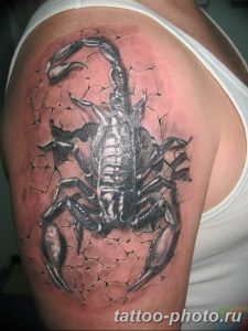 Фото рисунка скорпион 24.11.2018 №281 - photo tattoo scorpion - tattoo-photo.ru