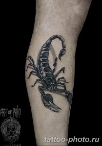 Фото рисунка скорпион 24.11.2018 №283 - photo tattoo scorpion - tattoo-photo.ru
