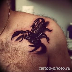 Фото рисунка скорпион 24.11.2018 №287 - photo tattoo scorpion - tattoo-photo.ru
