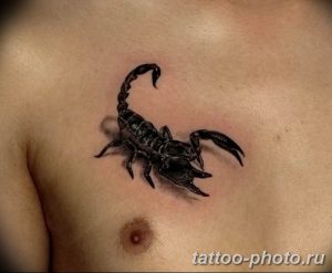 Фото рисунка скорпион 24.11.2018 №288 - photo tattoo scorpion - tattoo-photo.ru