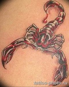 Фото рисунка скорпион 24.11.2018 №289 - photo tattoo scorpion - tattoo-photo.ru