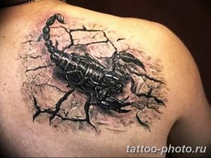 Фото рисунка скорпион 24.11.2018 №294 - photo tattoo scorpion - tattoo-photo.ru