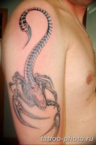 Фото рисунка скорпион 24.11.2018 №295 - photo tattoo scorpion - tattoo-photo.ru