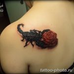 Фото рисунка скорпион 24.11.2018 №299 - photo tattoo scorpion - tattoo-photo.ru