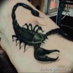 Фото рисунка скорпион 24.11.2018 №310 - photo tattoo scorpion - tattoo-photo.ru