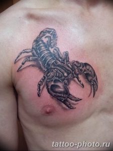Фото рисунка скорпион 24.11.2018 №312 - photo tattoo scorpion - tattoo-photo.ru