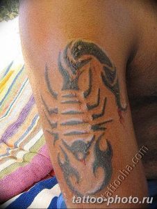 Фото рисунка скорпион 24.11.2018 №320 - photo tattoo scorpion - tattoo-photo.ru