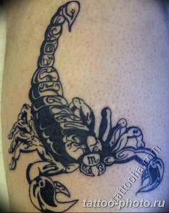 Фото рисунка скорпион 24.11.2018 №321 - photo tattoo scorpion - tattoo-photo.ru