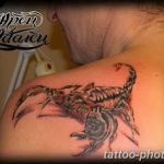Фото рисунка скорпион 24.11.2018 №322 - photo tattoo scorpion - tattoo-photo.ru