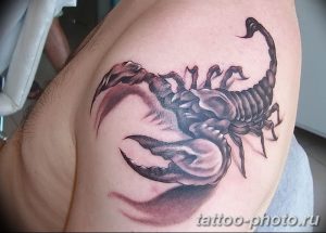 Фото рисунка скорпион 24.11.2018 №331 - photo tattoo scorpion - tattoo-photo.ru