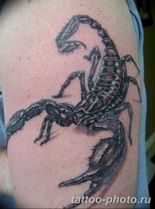 Фото рисунка скорпион 24.11.2018 №339 - photo tattoo scorpion - tattoo-photo.ru