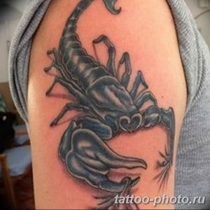 Фото рисунка скорпион 24.11.2018 №343 - photo tattoo scorpion - tattoo-photo.ru