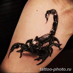 Фото рисунка скорпион 24.11.2018 №349 - photo tattoo scorpion - tattoo-photo.ru