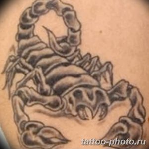 Фото рисунка скорпион 24.11.2018 №350 - photo tattoo scorpion - tattoo-photo.ru