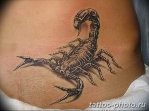 Фото рисунка скорпион 24.11.2018 №356 - photo tattoo scorpion - tattoo-photo.ru