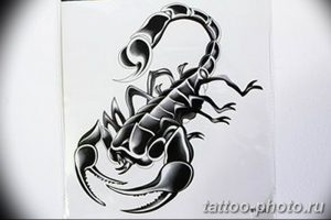 Фото рисунка скорпион 24.11.2018 №359 - photo tattoo scorpion - tattoo-photo.ru