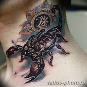 Фото рисунка скорпион 24.11.2018 №367 - photo tattoo scorpion - tattoo-photo.ru