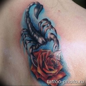 Фото рисунка скорпион 24.11.2018 №378 - photo tattoo scorpion - tattoo-photo.ru