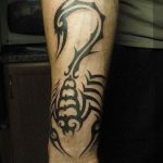 Фото рисунка скорпион 24.11.2018 №379 - photo tattoo scorpion - tattoo-photo.ru