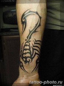 Фото рисунка скорпион 24.11.2018 №379 - photo tattoo scorpion - tattoo-photo.ru