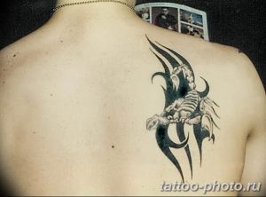 Фото рисунка скорпион 24.11.2018 №381 - photo tattoo scorpion - tattoo-photo.ru