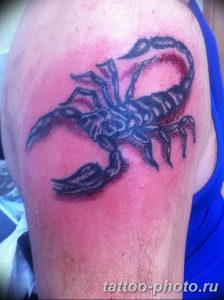 Фото рисунка скорпион 24.11.2018 №386 - photo tattoo scorpion - tattoo-photo.ru