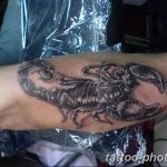 Фото рисунка скорпион 24.11.2018 №389 - photo tattoo scorpion - tattoo-photo.ru