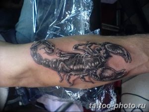 Фото рисунка скорпион 24.11.2018 №389 - photo tattoo scorpion - tattoo-photo.ru