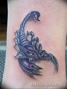 Фото рисунка скорпион 24.11.2018 №391 - photo tattoo scorpion - tattoo-photo.ru