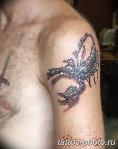 Фото рисунка скорпион 24.11.2018 №398 - photo tattoo scorpion - tattoo-photo.ru