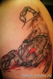 Фото рисунка скорпион 24.11.2018 №401 - photo tattoo scorpion - tattoo-photo.ru
