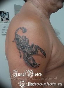 Фото рисунка скорпион 24.11.2018 №403 - photo tattoo scorpion - tattoo-photo.ru