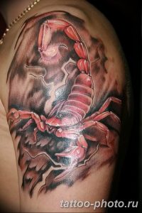 Фото рисунка скорпион 24.11.2018 №404 - photo tattoo scorpion - tattoo-photo.ru