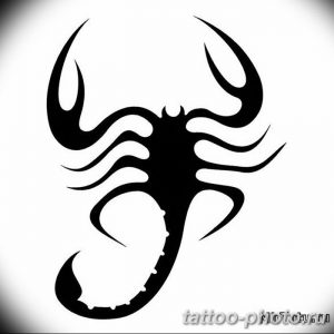 Фото рисунка скорпион 24.11.2018 №405 - photo tattoo scorpion - tattoo-photo.ru