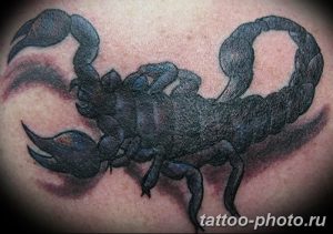 Фото рисунка скорпион 24.11.2018 №406 - photo tattoo scorpion - tattoo-photo.ru