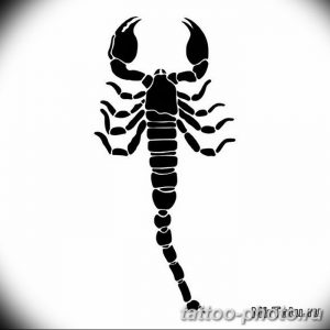 Фото рисунка скорпион 24.11.2018 №408 - photo tattoo scorpion - tattoo-photo.ru