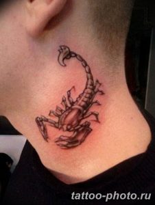 Фото рисунка скорпион 24.11.2018 №411 - photo tattoo scorpion - tattoo-photo.ru