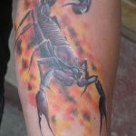 Фото рисунка скорпион 24.11.2018 №418 - photo tattoo scorpion - tattoo-photo.ru