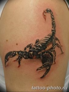 Фото рисунка скорпион 24.11.2018 №419 - photo tattoo scorpion - tattoo-photo.ru