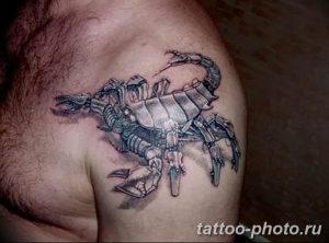 Фото рисунка скорпион 24.11.2018 №428 - photo tattoo scorpion - tattoo-photo.ru