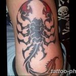Фото рисунка скорпион 24.11.2018 №432 - photo tattoo scorpion - tattoo-photo.ru