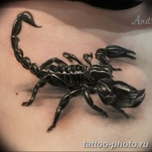 Фото рисунка скорпион 24.11.2018 №438 - photo tattoo scorpion - tattoo-photo.ru