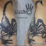 Фото рисунка скорпион 24.11.2018 №439 - photo tattoo scorpion - tattoo-photo.ru