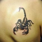 Фото рисунка скорпион 24.11.2018 №441 - photo tattoo scorpion - tattoo-photo.ru