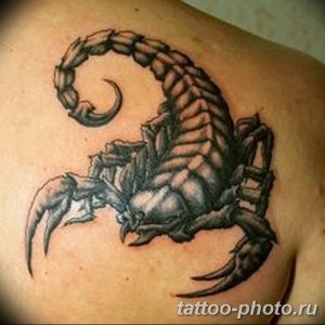 Фото рисунка скорпион 24.11.2018 №445 - photo tattoo scorpion - tattoo-photo.ru