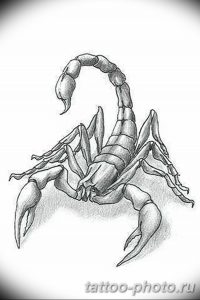 Фото рисунка скорпион 24.11.2018 №456 - photo tattoo scorpion - tattoo-photo.ru