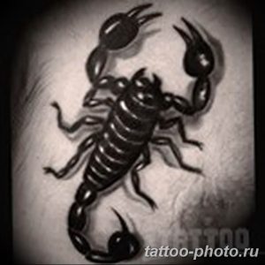 Фото рисунка скорпион 24.11.2018 №463 - photo tattoo scorpion - tattoo-photo.ru