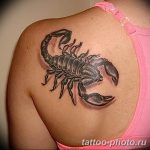 Фото рисунка скорпион 24.11.2018 №464 - photo tattoo scorpion - tattoo-photo.ru
